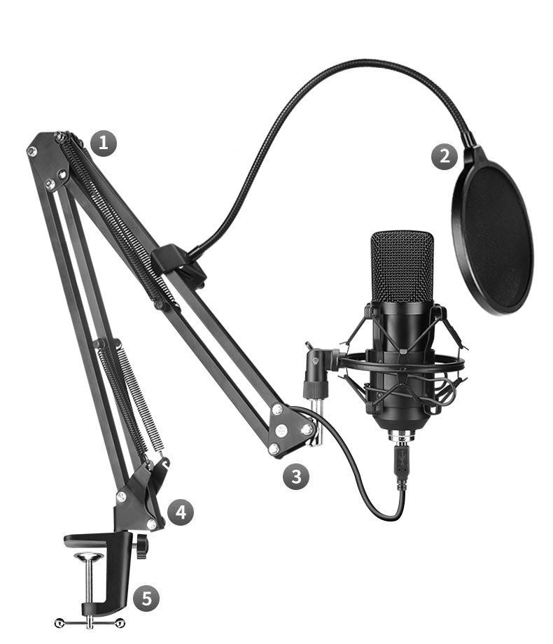 Pro Microphone set