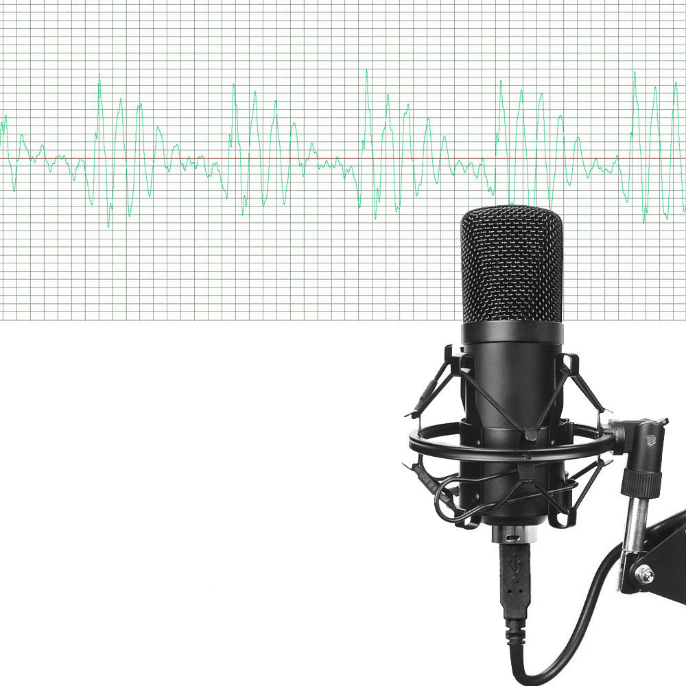 Pro Microphone set