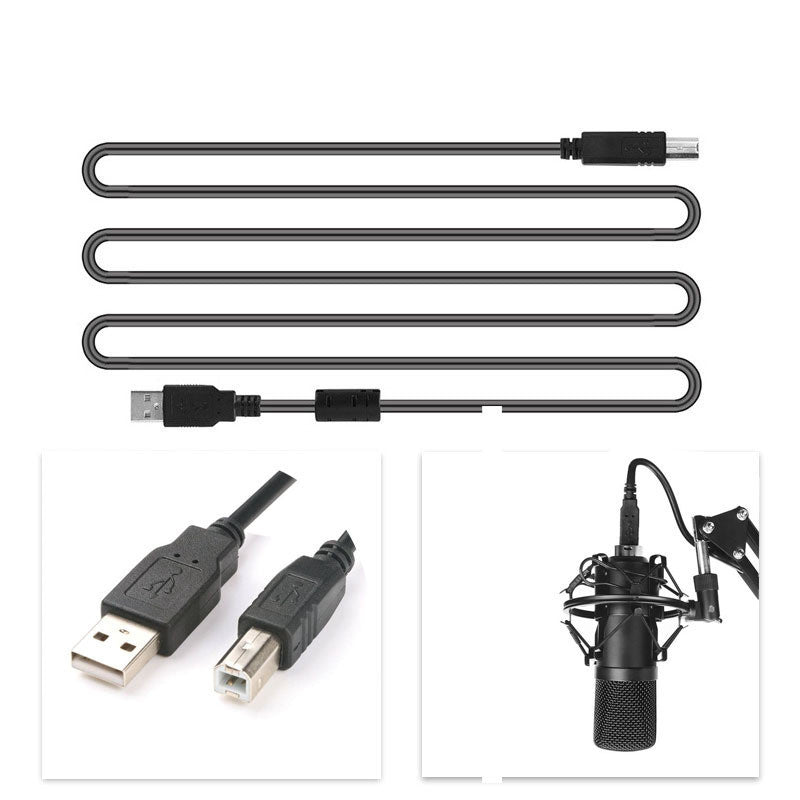 Pro Microphone set